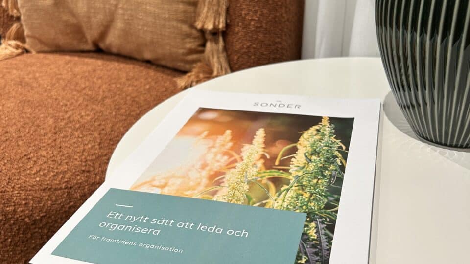 Nytt sätt att leda och organisera